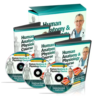 Materialien des Human Anatomy and Physiology Course