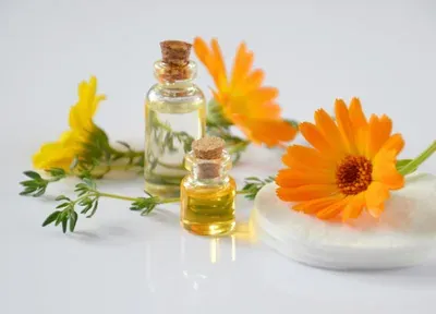 Produktbild Aromatherapie in der Tierheilpraxis