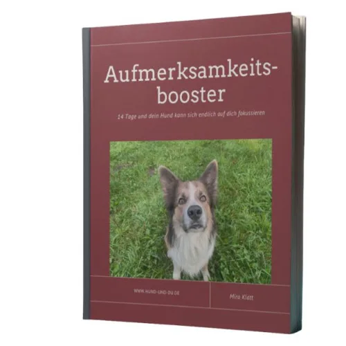 Produktbild Aufmerksamkeitsbooster: 14 Tage Fokus-Training für Hunde