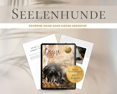 Produktbild Bagira: Meine Geschichte, dein Raum (Seelenhund-Workbook)