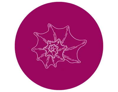 Produktbild Beckenboden-Onlinekurs für Männer