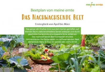 Produktbild Beetplan: Das Nachwachsende Beet