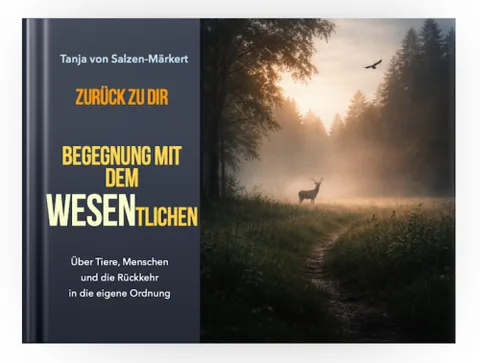 Produktbild Begegnung mit dem WESENtlichen eBook