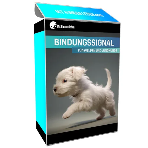 Produktbild Videokurs Bindungssignal und Rückruf