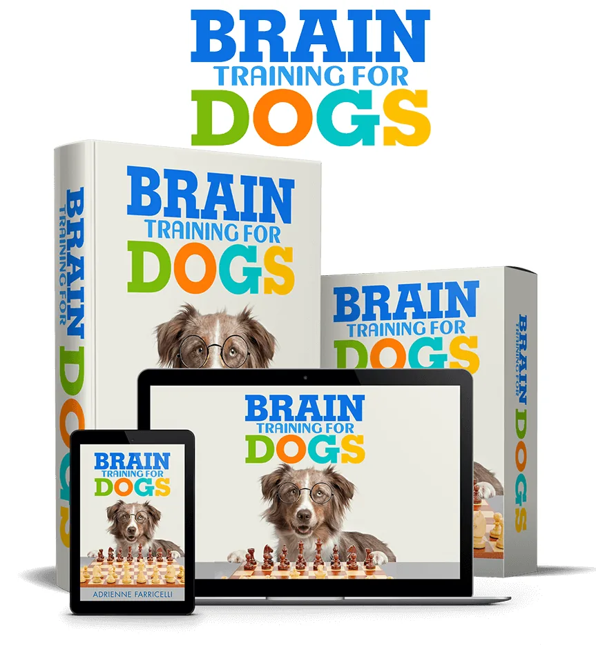 Online-Kurs Brain Training for Dogs von Adrienne Farricelli