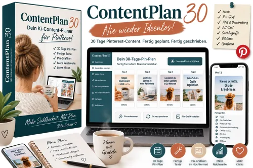 Produktbild Software ContentPlan 30 für Pinterest