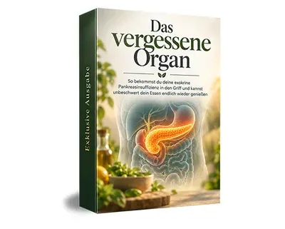 Produktbild Das vergessene Organ: Kurs zur Bauchspeicheldrüse