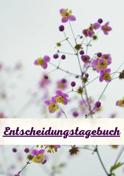 Produktbild Dein Entscheidungstagebuch (Arbeitsbuch)