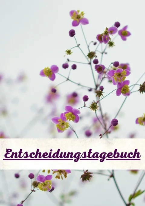 Produktbild Dein Entscheidungstagebuch (Arbeitsbuch)
