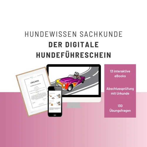 Produktbild Der digitale Hundeführerschein