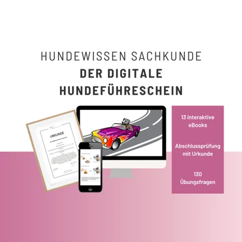 Produktbild Der digitale Hundeführerschein