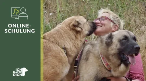 Online-Schulung Du und Dein Herdenschutzhund von Mirjam Cordt