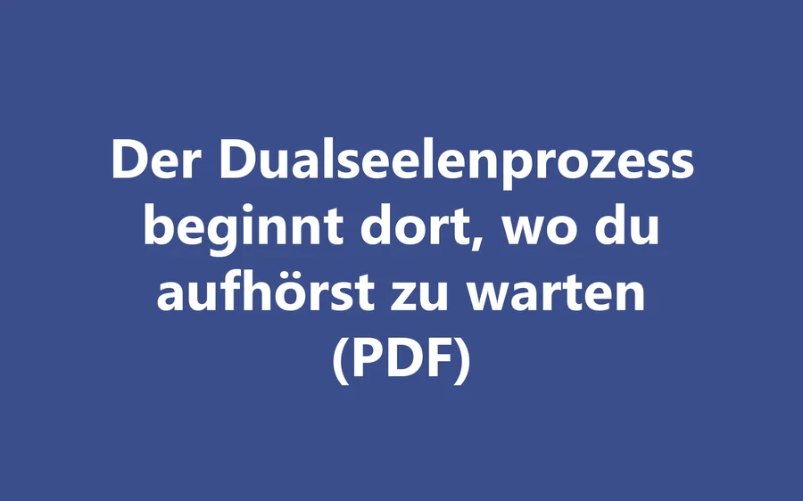 Produktbild Der Dualseelenprozess beginnt dort, wo du aufhörst zu warten