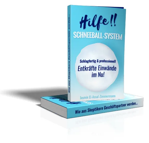 Produktbild eBook Hilfe Schneeballsystem