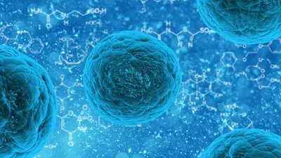 Produktbild Effektive Mikroorganismen in der Tierheilpraxis