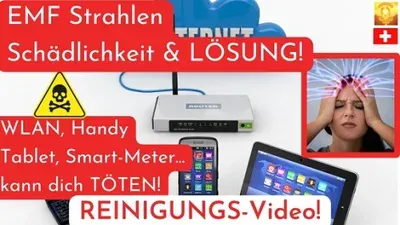 Produktbild EMF Elektrosmog-Strahlen und Fremdenergie Reinigung (3 Videos)