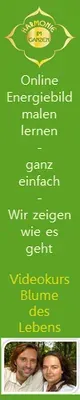 Produktbild Videokurs Energiebild malen Level 1: Die Blume des Lebens