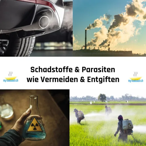 Produktbild Entgiften und Schadstofffrei leben