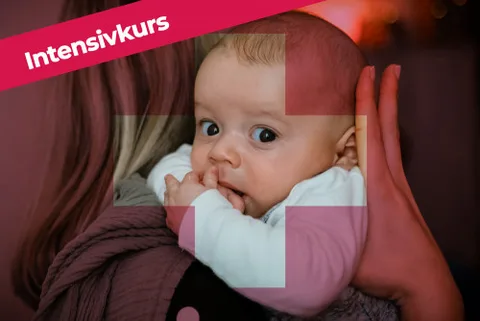Produktbild Online-Kurs Erste Hilfe am Kind von Zartes Glück