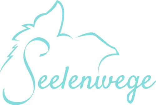 Produktbild Euer Seelenweg (11 Audio-Meditationen zur Tierkommunikation)