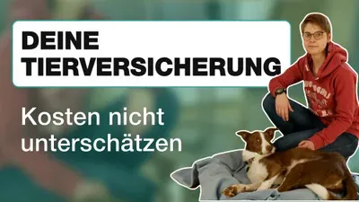 Produktbild Testimonial-Videos: Deine Tierversicherung (Finanzmedia)