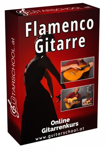 Produktbild Flamenco Gitarre lernen (Onlinekurs)