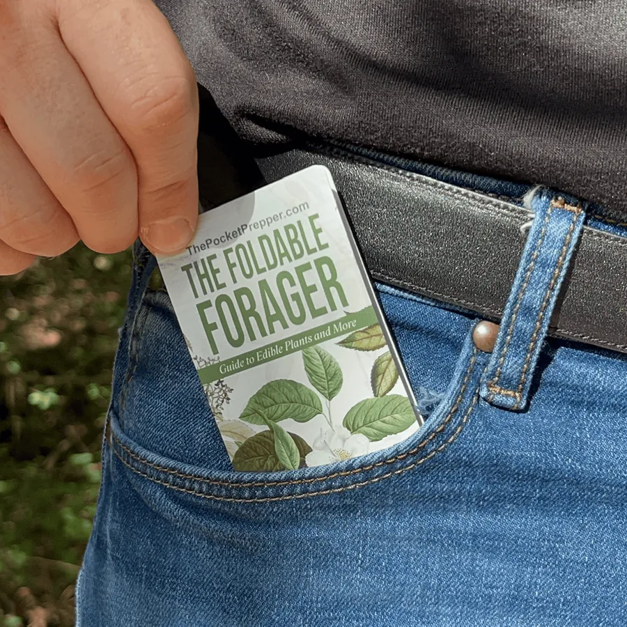 Produktbild The Foldable Forager Sammelratgeber
