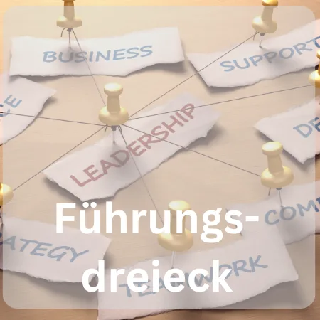 Produktbild Führungsdreieck Können, Wollen, Dürfen, Video + Workbook