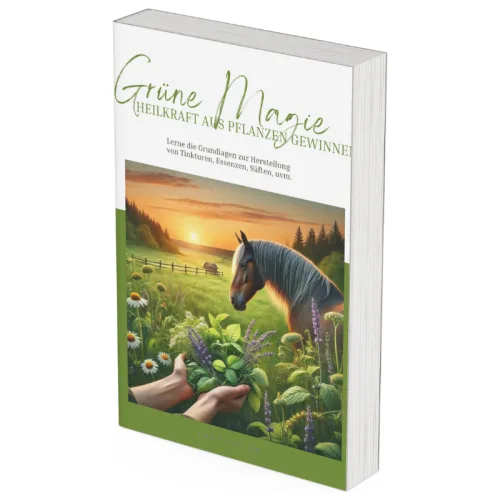 Produktbild Grüne Magie, eBook über Heilmittel für Pferde von Stable-Stuff