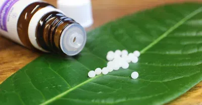 Produktbild Grundlagen der Homöopathie