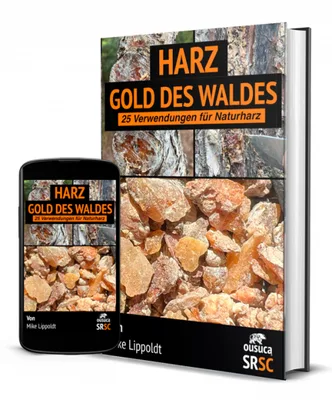 Produktbild Harz: Gold des Waldes (eBook, Mike Lippoldt)