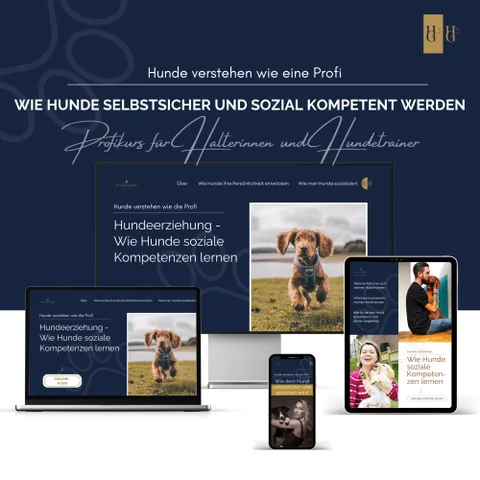 Produktbild Onlinekurs Hunde sozialisieren