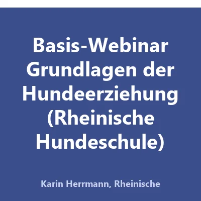 Produktbild Basis-Webinar Grundlagen der Hundeerziehung (Rheinische Hundeschule)