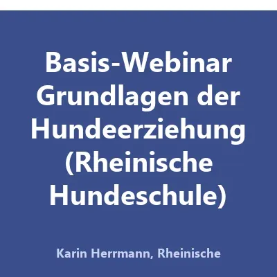 Produktbild Basis-Webinar Grundlagen der Hundeerziehung (Rheinische Hundeschule)