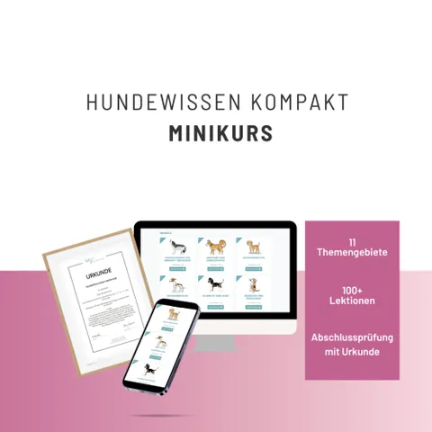 Produktbild Hundewissen kompakt