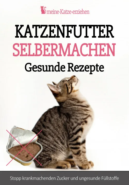 Titelbild des eBooks Katzenfutter Selbermachen – Gesunde Rezepte mit sitzender Katze