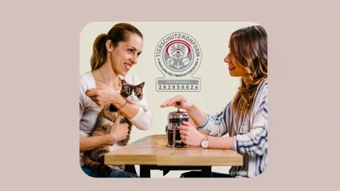 Produktbild KATZENLIFECOACH Onlinekurs der aCATemy