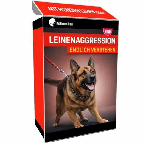 Produktbild Videokurs Leinenaggression beim Hund