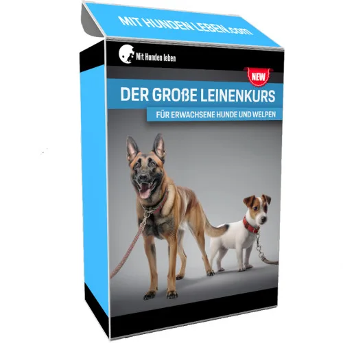 Produktbild Videokurs Leinentraining mit Carsten Wagner