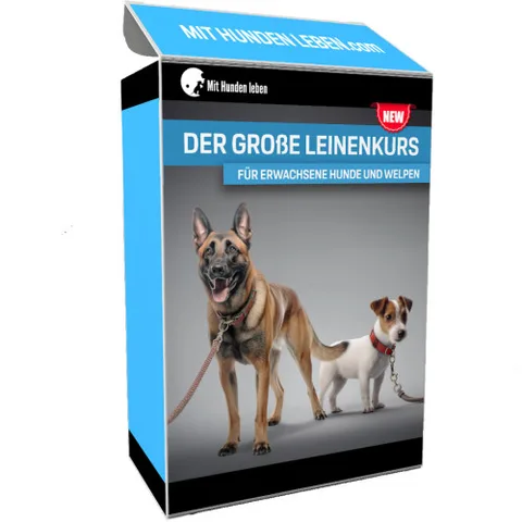 Produktbild Videokurs Leinentraining mit Carsten Wagner