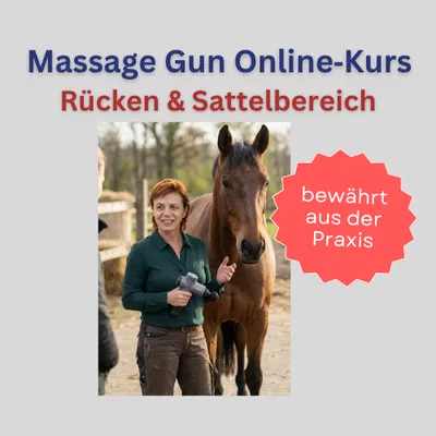 Produktbild Massage Gun beim Pferd: Rücken- und Sattelbereich