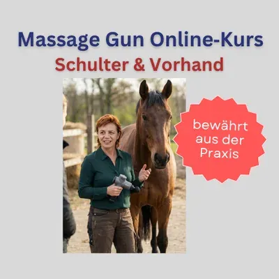 Produktbild Massage Gun beim Pferd: Schulter- und Vorhandbereich