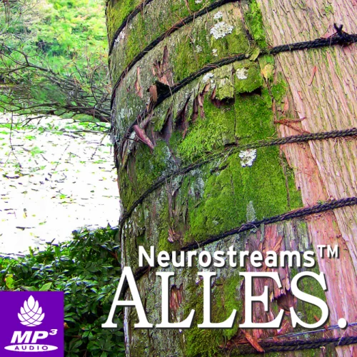 Produktbild Neurostreams ALLES (Komplettsammlung)