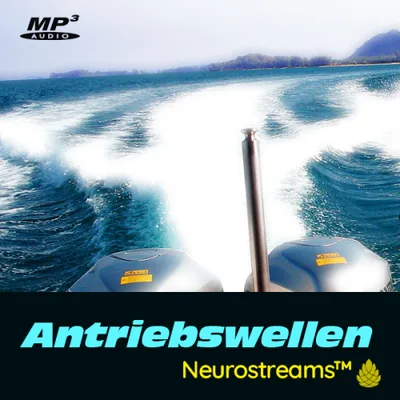 Produktbild Antriebswellen (Neurostreams)