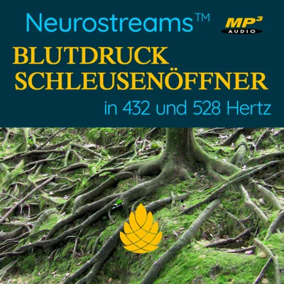 Produktbild Neurostreams Blutdruck-Schleusenöffner (432 und 528 Hertz)