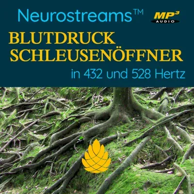 Produktbild Neurostreams Blutdruck-Schleusenöffner (432 und 528 Hertz)