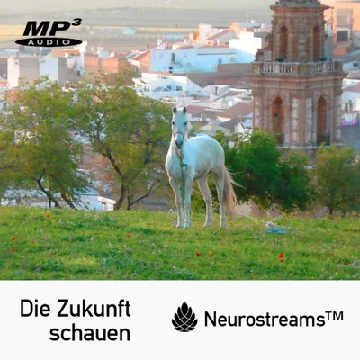 Produktbild Die Zukunft schauen (Neurostreams)