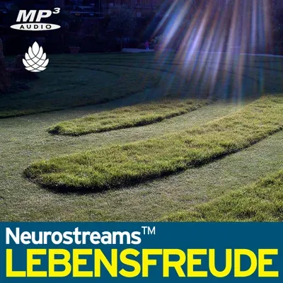 Produktbild Neurostreams Lebensfreude