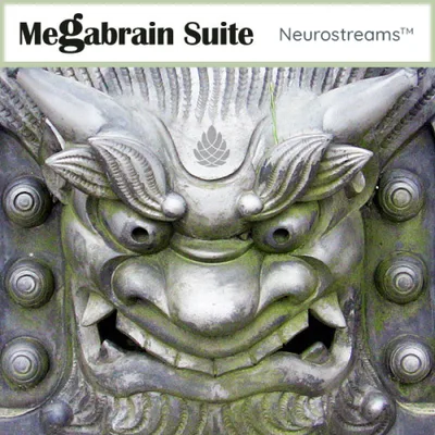 Produktbild Megabrain Suite (Neurostreams)