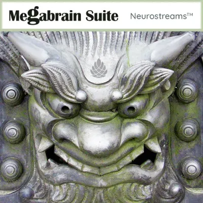 Produktbild Megabrain Suite (Neurostreams)